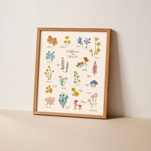 Wildflowers of Colorado Art Print - Hush Poppy Collection