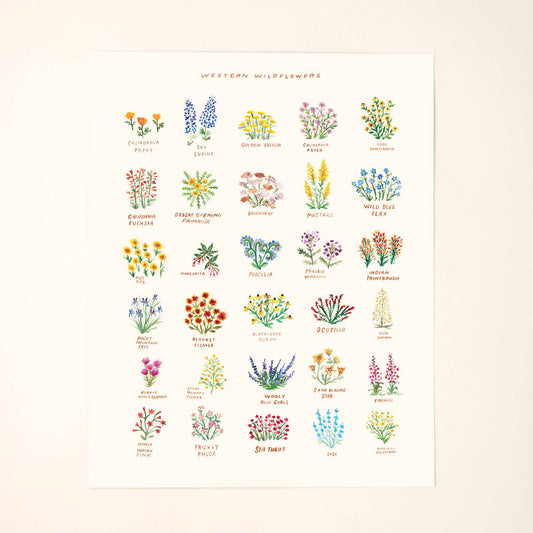 Western Wildflowers With Names Art Painting Decor