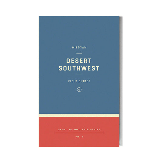 Desert Southwest Road Trip Guide
