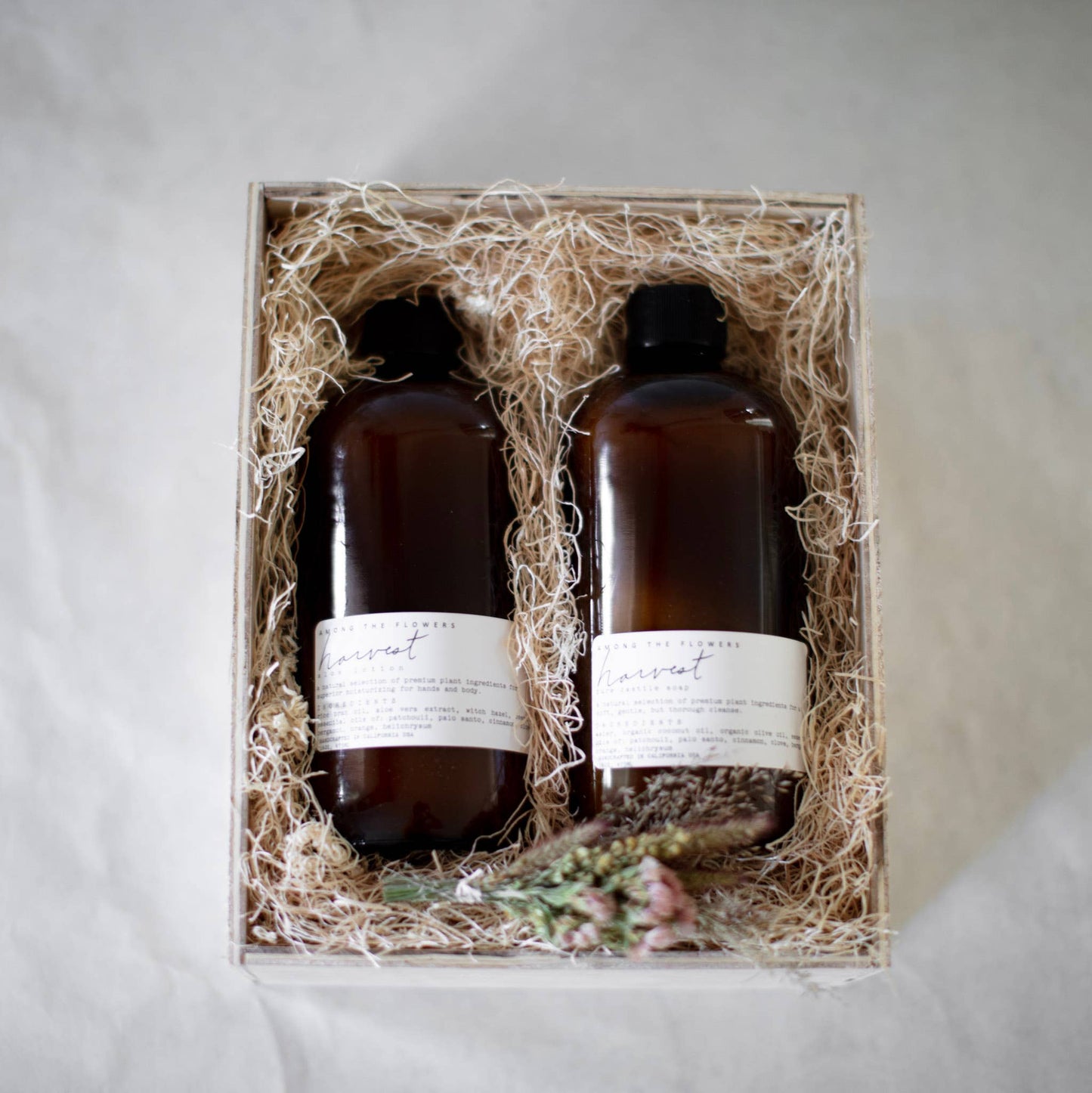 Botanical Aloe Lotion