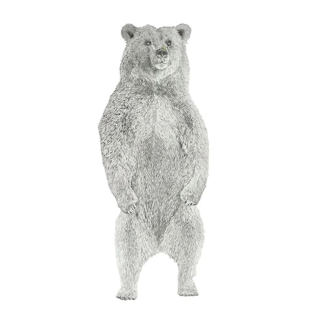 Honey Bear: Limited Edition Donny Spencer Print