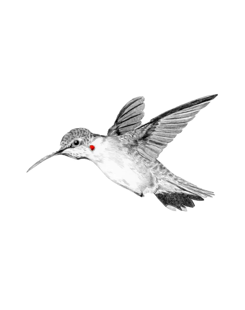 Humming: Limited Edition Donny Spencer Print