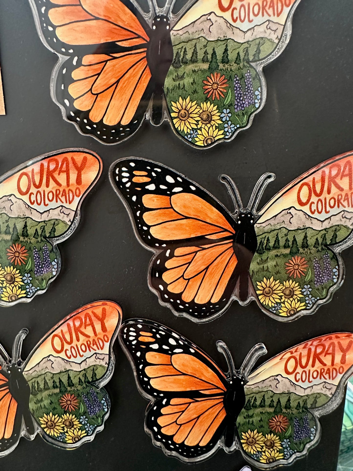 Ouray Butterfly Magnet