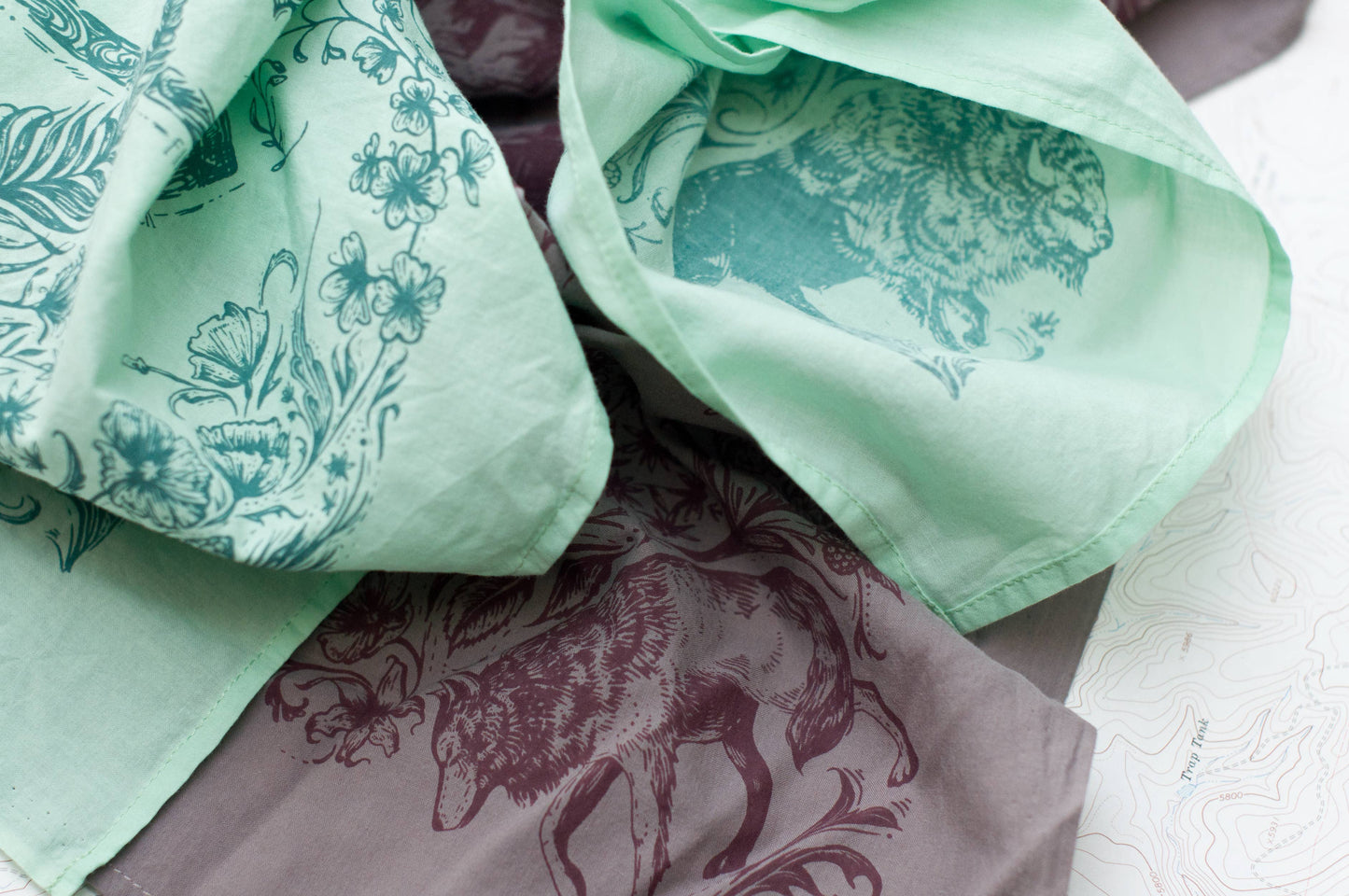 Backcountry Premium Cotton Bandana