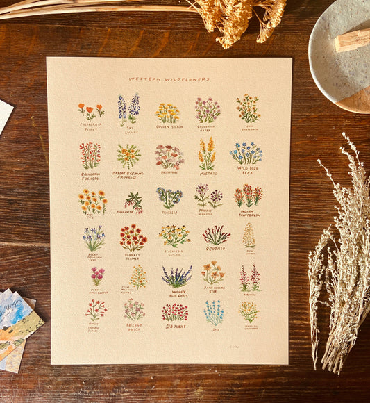 Western Wildflowers With Names Art Painting Decor