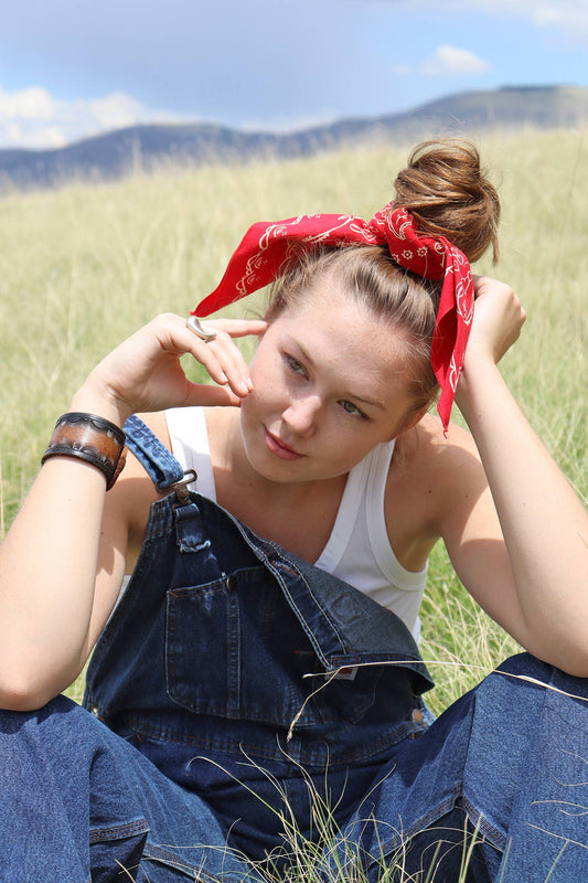 Dixon 22-Inch Red Paisley Western Cotton Bandana