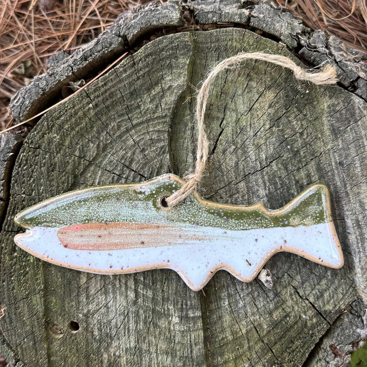 Ornament - Fish - Trout - Holiday Decor - Nature