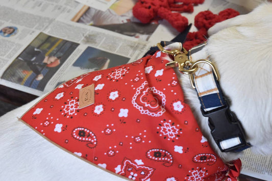 Bright Red Classic Dog Bandana