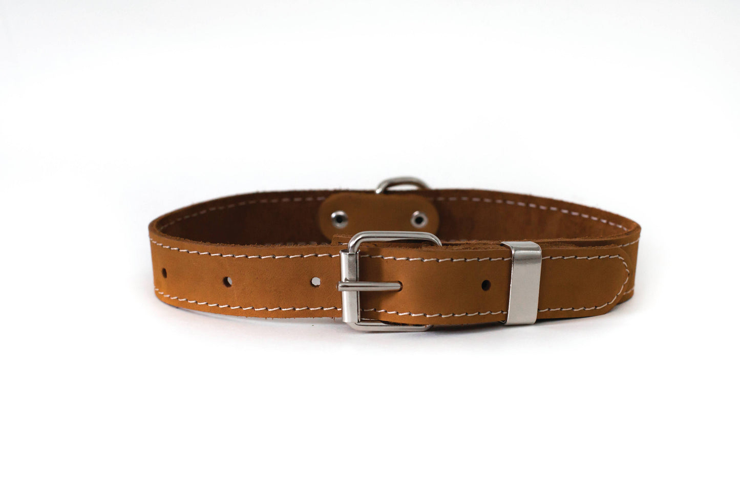 Pro Leather Dog Collar