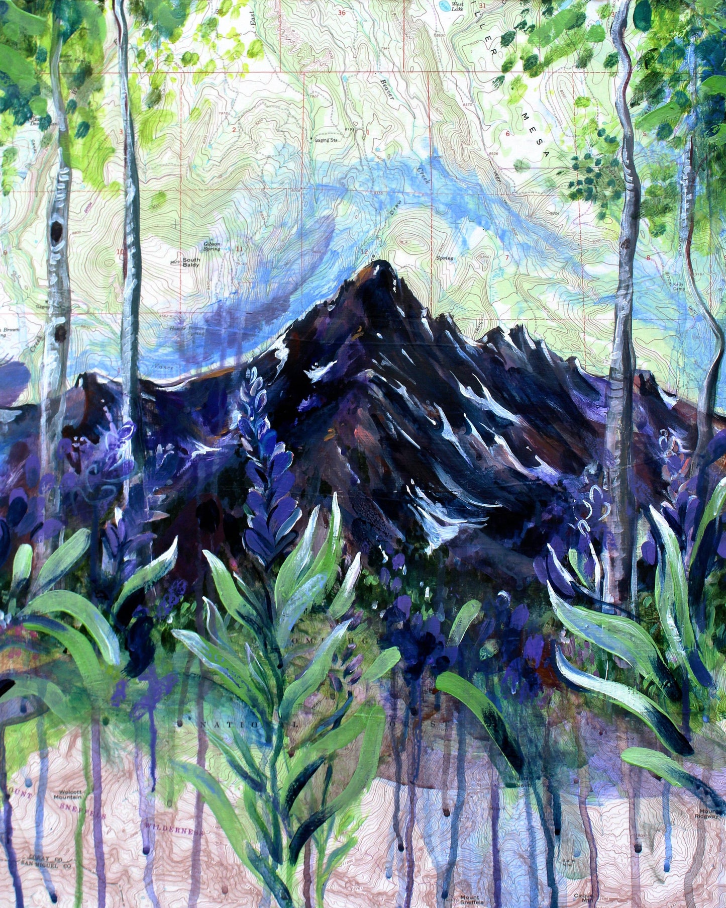 Mt. Sneffels Map Art Print - Hannah Wilson Art