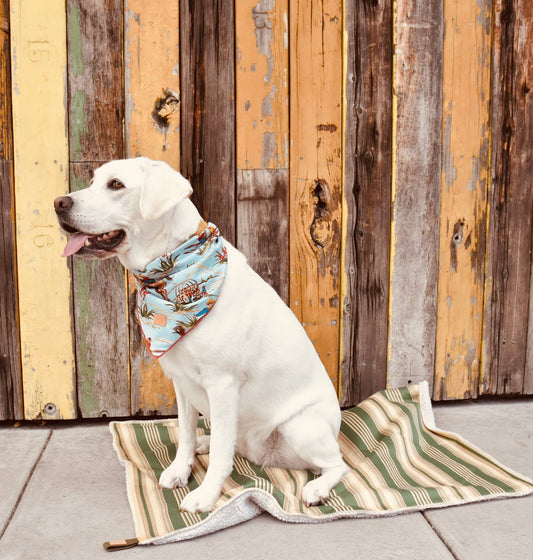 Vintage Cowboy Dog Bandana