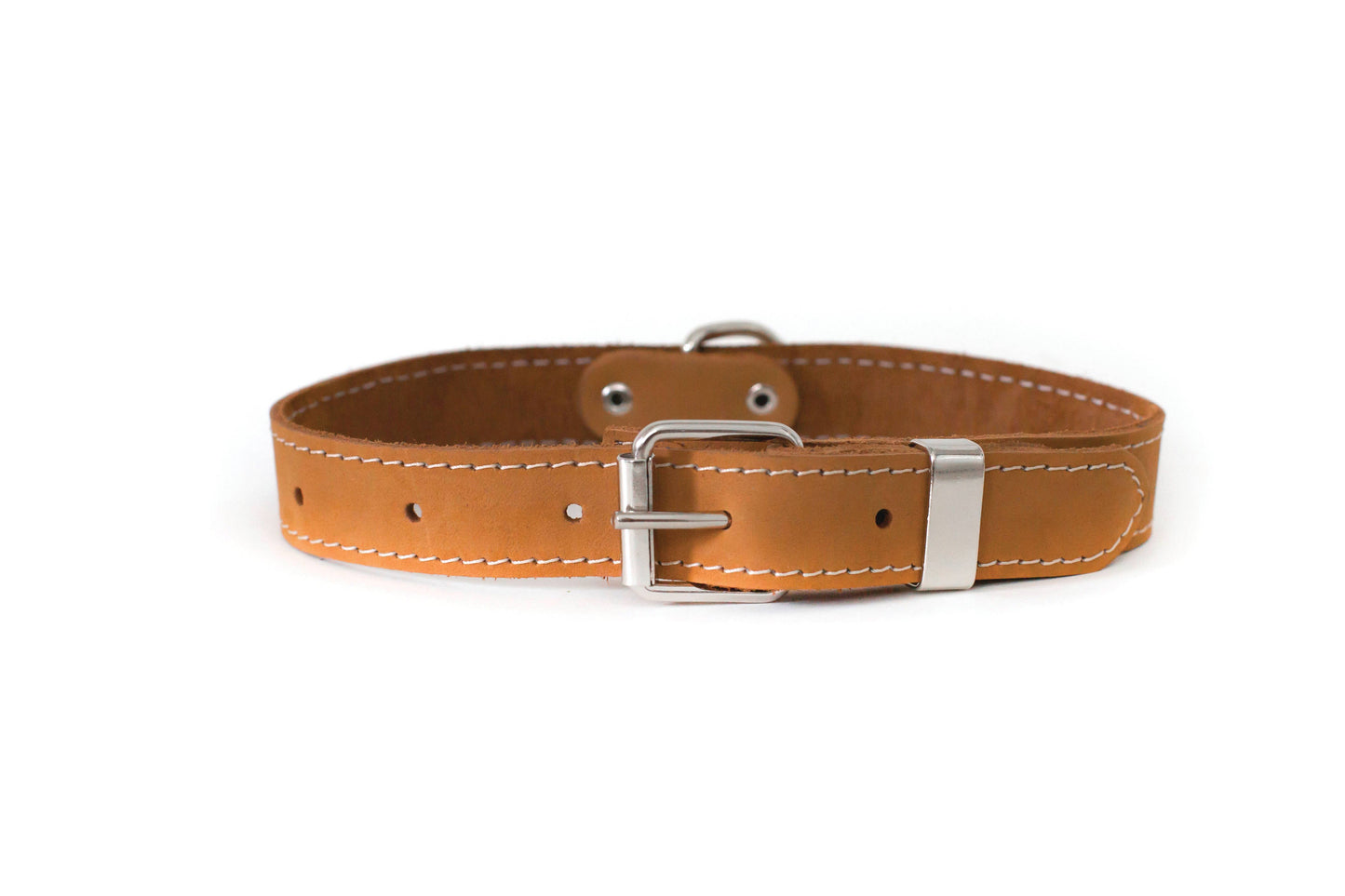 Pro Leather Dog Collar