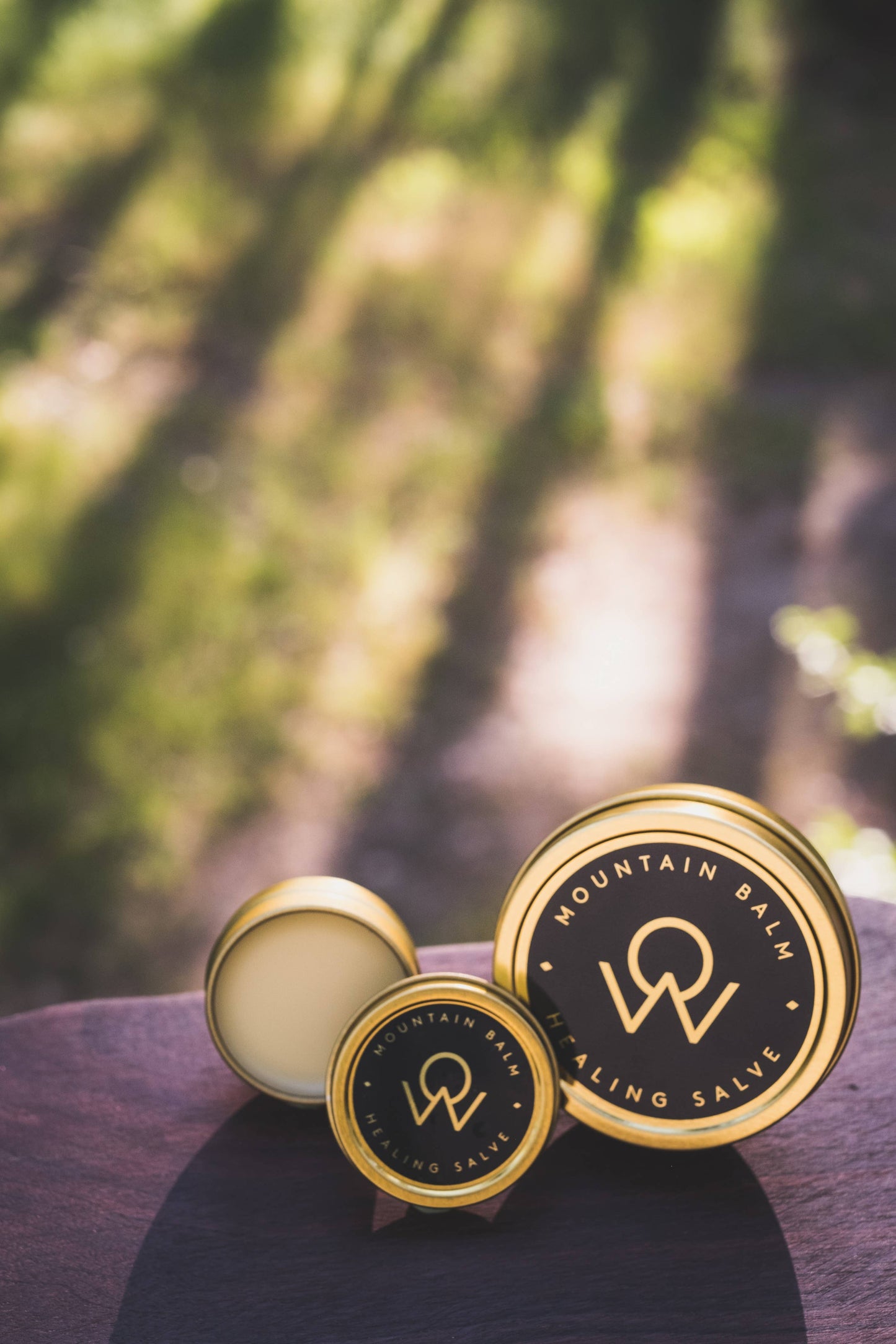 Mountain Balm Healing Salve
