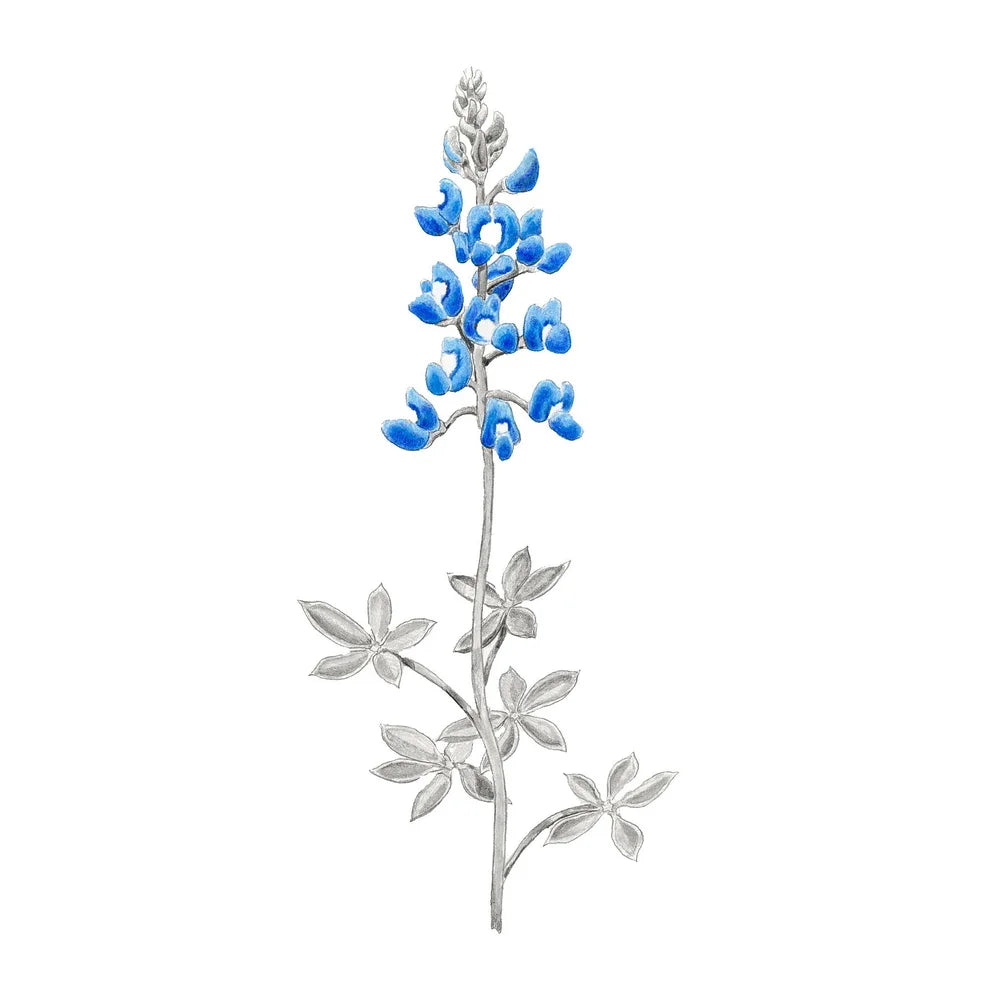 Blue Spring: Limited Edition Donny Spencer Print