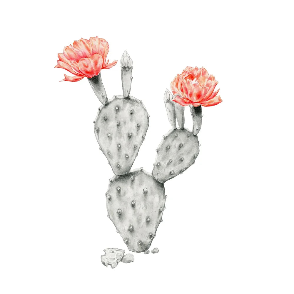 Desert Candle: Limited Edition Donny Spencer Print