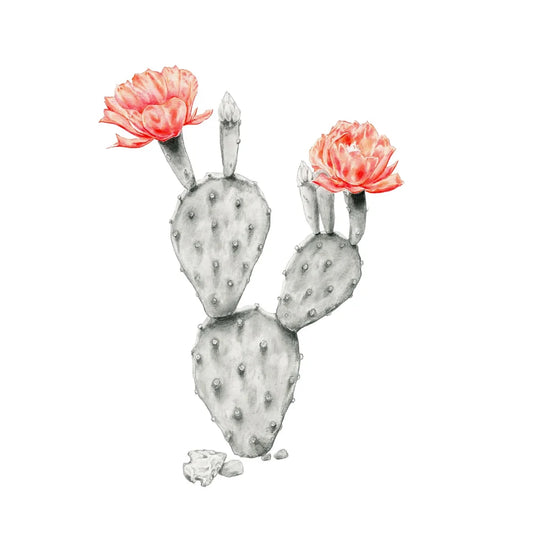 Desert Candle: Limited Edition Donny Spencer Print