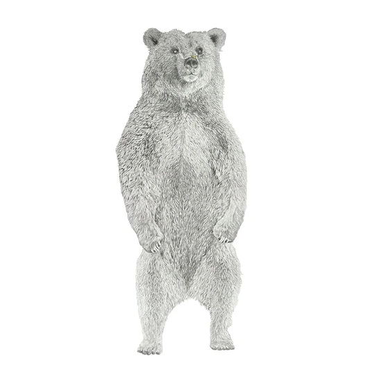 Honey Bear: Limited Edition Donny Spencer Print