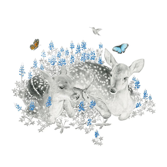 Nature's Bassinet: Limited Edition Donny Spencer Print