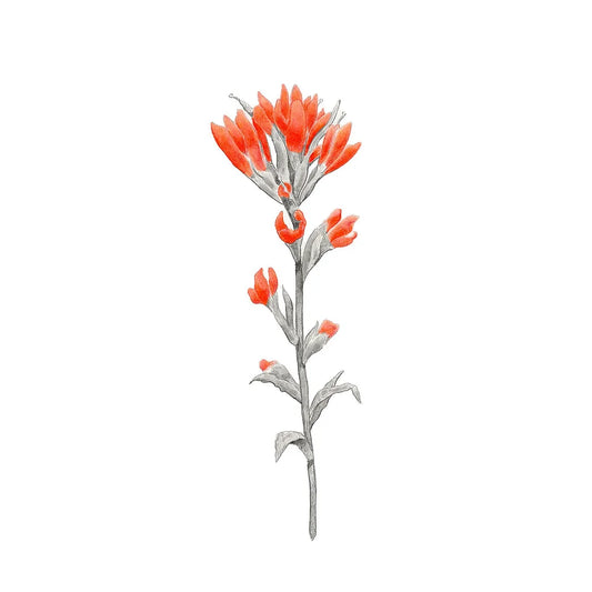 Paint Brush: Limited Edition Donny Spencer Print