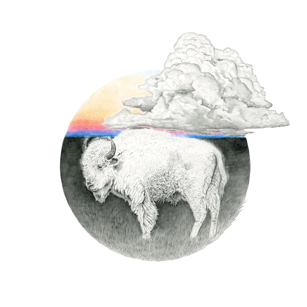 White Bison Sunrise: Limited Edition Donny Spencer Print