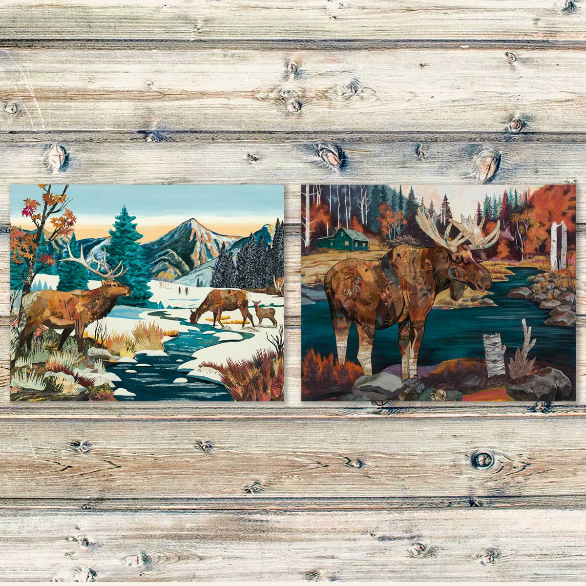 Art Print | Colorado Moose Wall Art | WATER + WILLOW