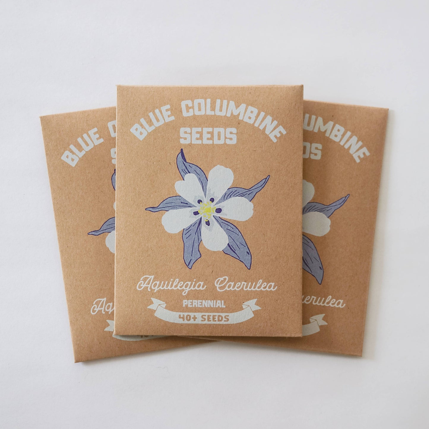 Blue Columbine Seeds – 40 Pack | Colorado Columbine