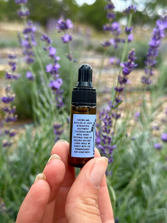 Lavender Essential Oil