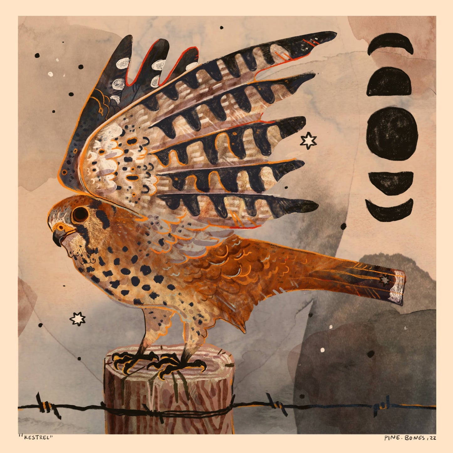 Kestrel - 8x8 Nature Wilderness Art Print 